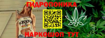стаф Ливны