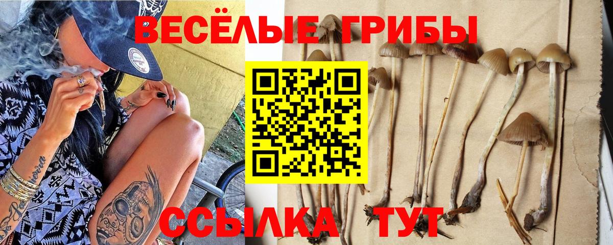 Десногорск  Галлюциногенные грибы мицелий  цены наркотик  Вход с VPN 